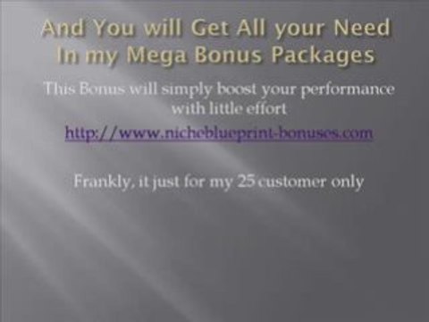 Niche Blueprint Bonus - $6,000 mega bonus packages