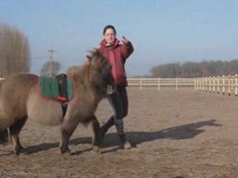 Lutin, campo, couché, révérence, câlins, valses