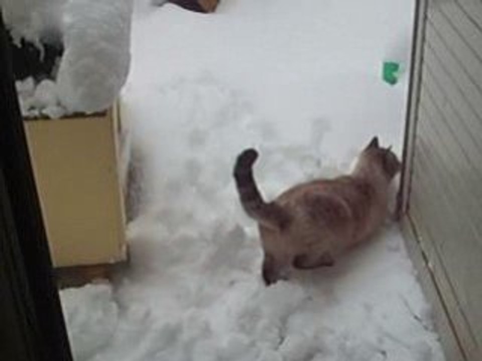 junior et les jumelles dans neige08 /01/09