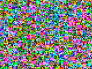 Renaud mon nain de jardin