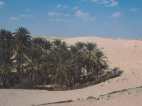 CHANTEUR SOUFI (NINOU) EL OUED SOUF AMBIANCE SOUFIA