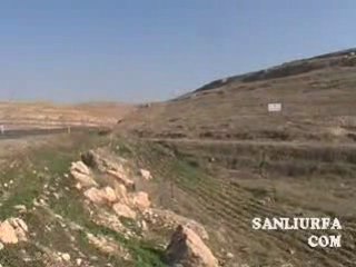 Anadoluajansi hatira ormani www.sanliurfa.com