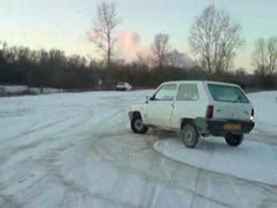 panda