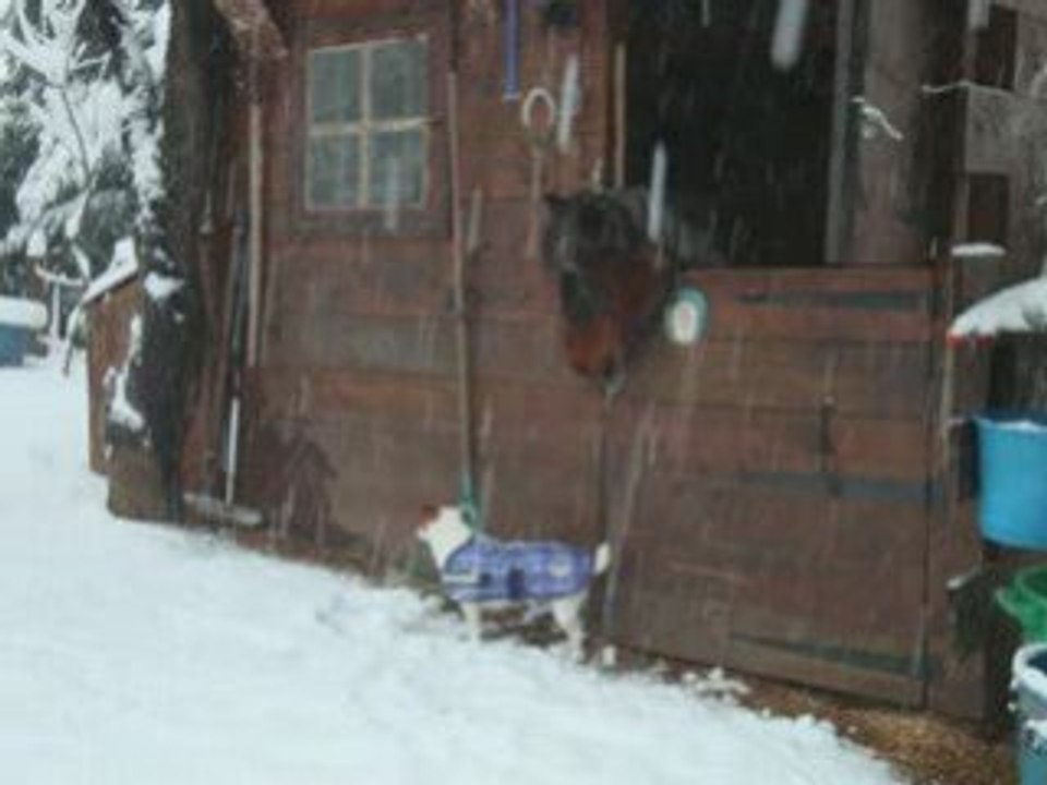 Neige volet 2