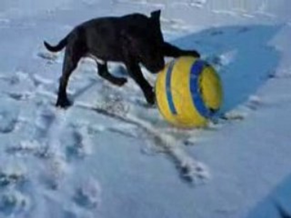 An'tai a la neige