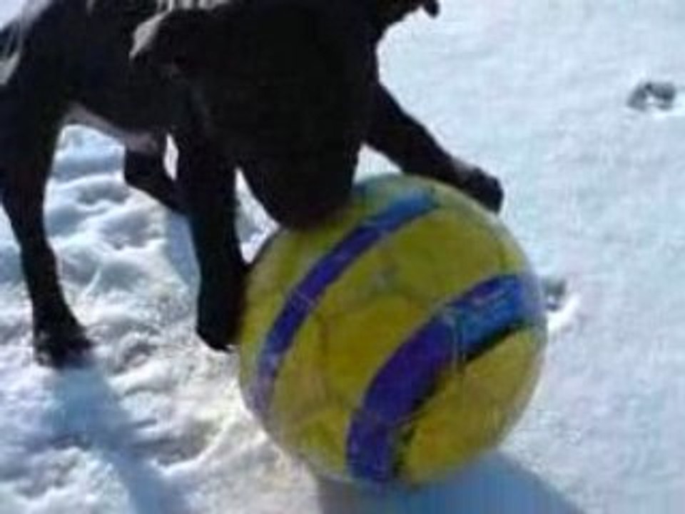 An'tai a la neige2
