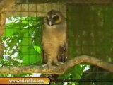 sri lanka National zoological gardens Dehiwala