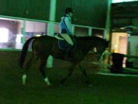 Galop en cercle avec Bailey's