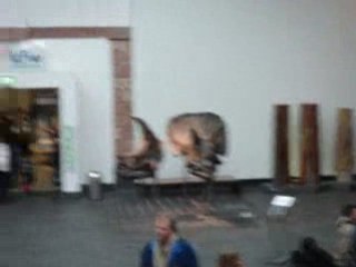 Natural History Museum - Frankfurt