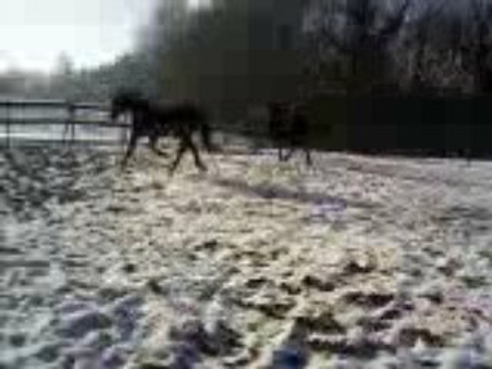 Vidéo-0006