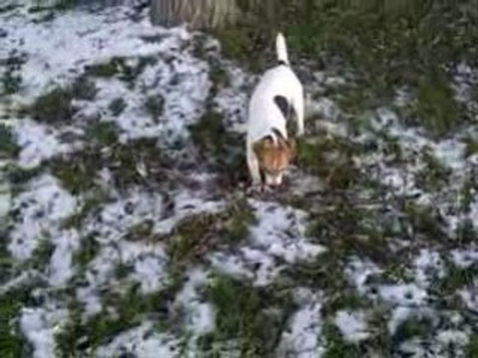 dans la neige 2