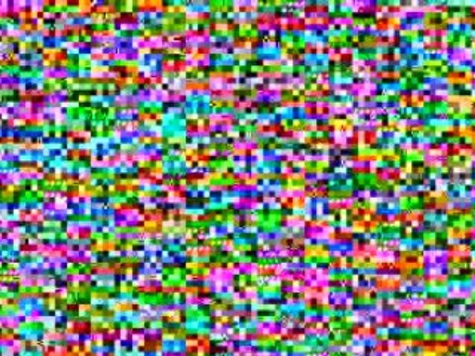 Arizona - Flat Broke And Joining Cash Gifting Programs