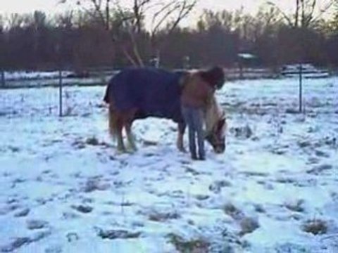 Trot en licol avec Sakura