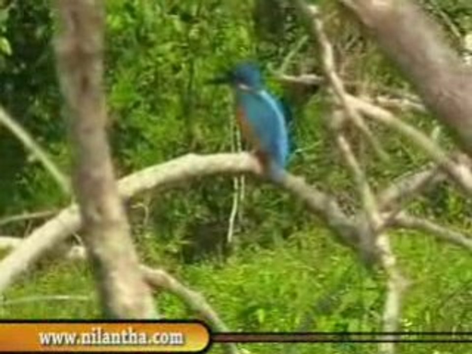 sri lanka yala National Park