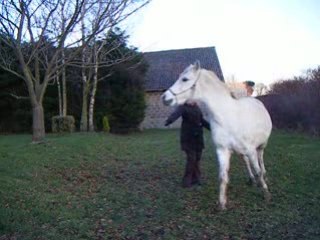 MARIO 08/01/09 jeux du cercle