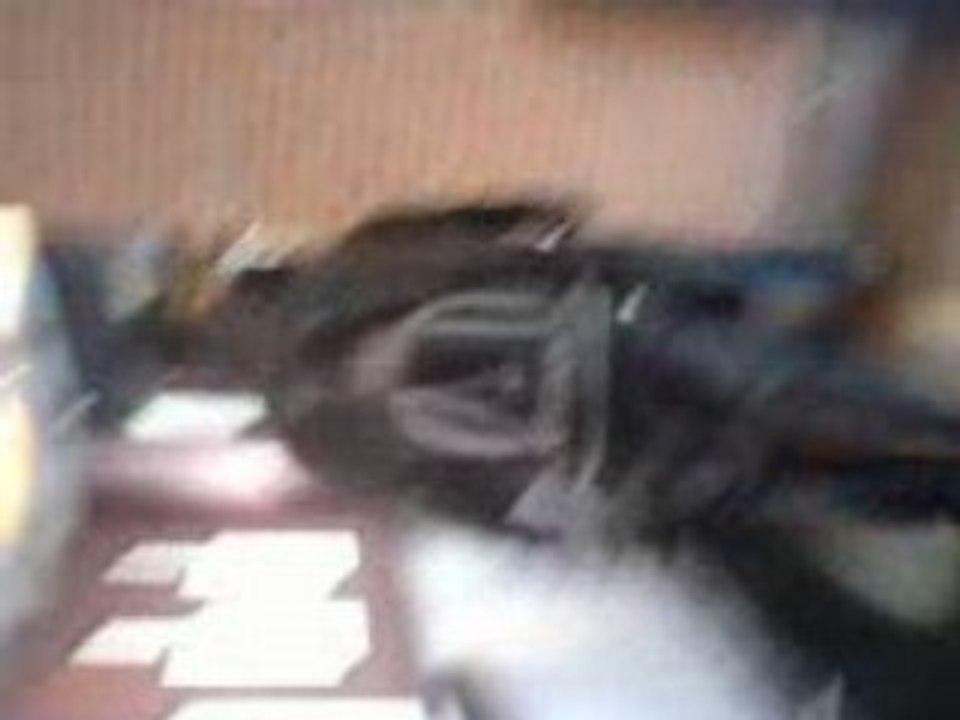 MOV03586