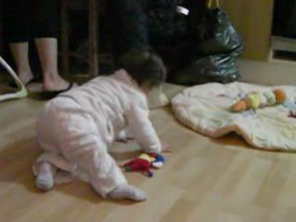 shanna 4 pattes 4.... janvier 2009