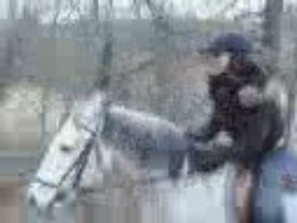 petite galop rigolo