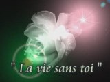 La vie sans toi : a mon frère ...