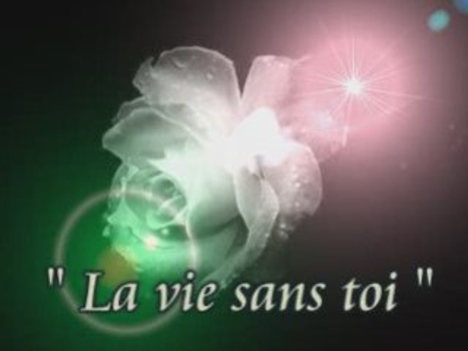 La vie sans toi : a mon frère ...