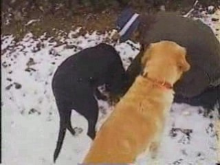 Trufas bajo la nieve