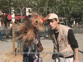 Caméra cachée :  Un chien farouche !