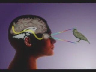 THE SECRET BEYOND MATTER 2/3 www.secretbeyondmatter.com