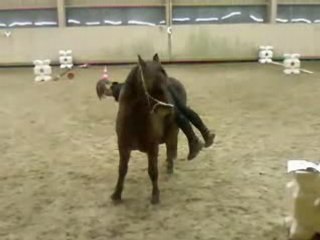 Débourrage Paloma