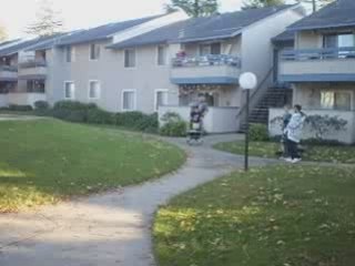 The Grocery Cart Distruction