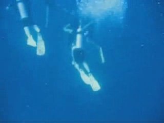 Scuba diving with friends