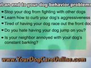 Dog Behavior Problems