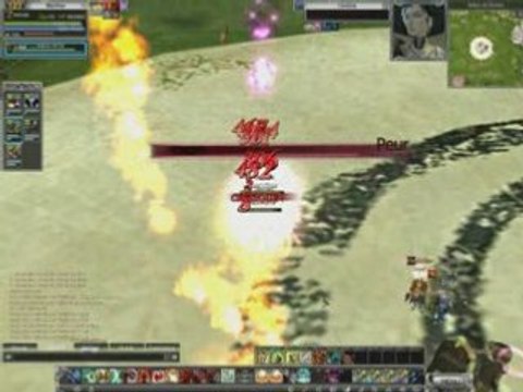 [Rappelz] PvP Elem/Animiste