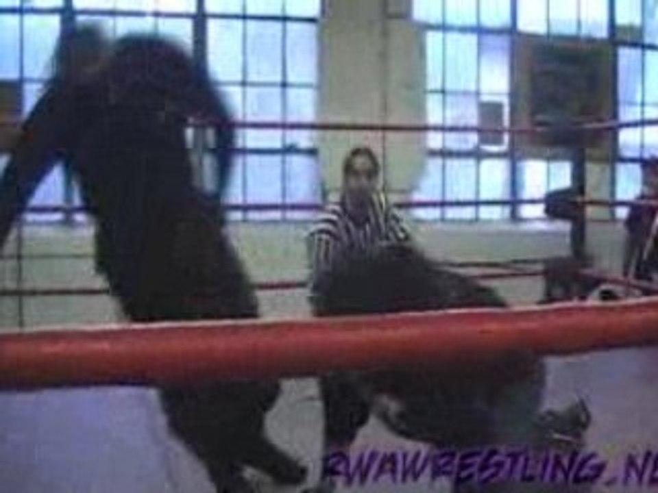 RWA/APW Worlds Collide Highlights