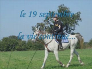 Ma première année avec Kraft_0001