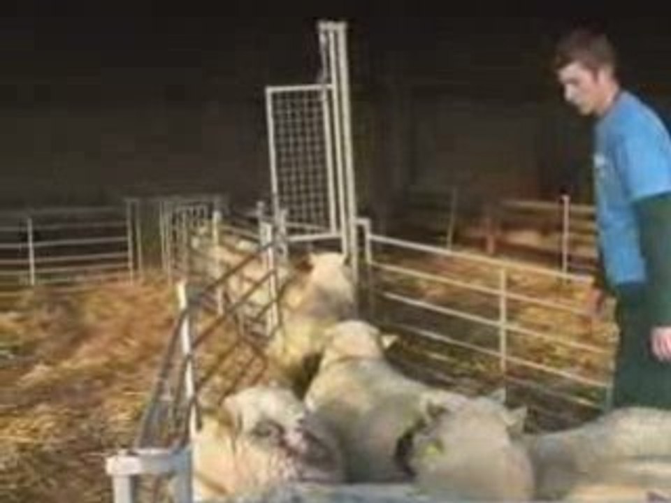 Journal agricole de la Vendée du 9 janvier 2009