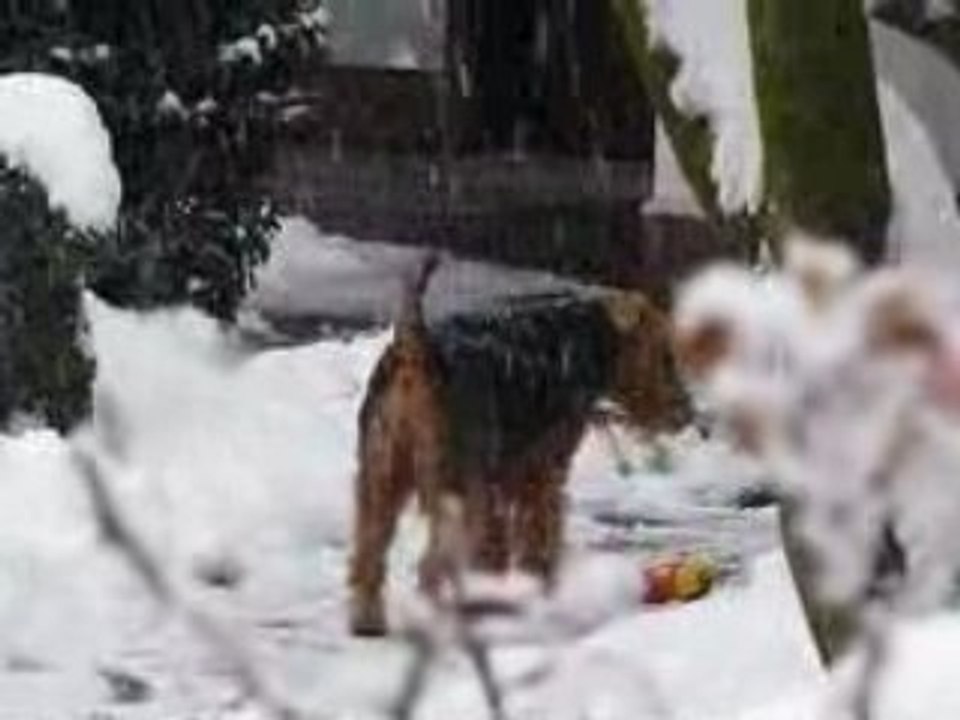 NEVICATA A VIGEVANO