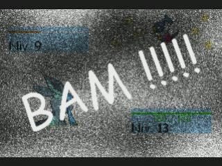 Parodie d'un combat pokemon