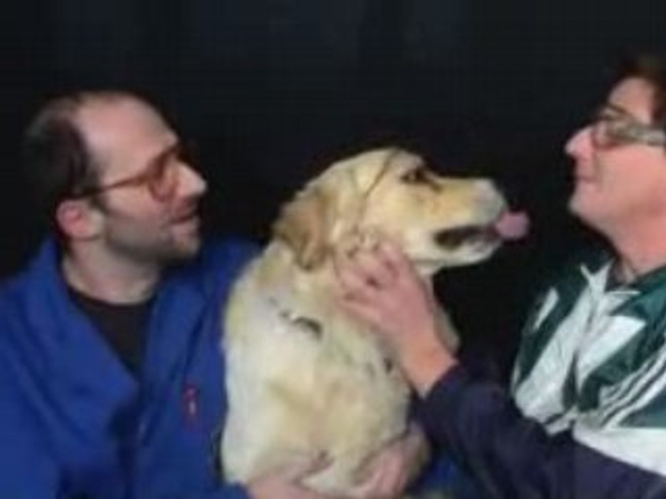 Le chien à Daniel