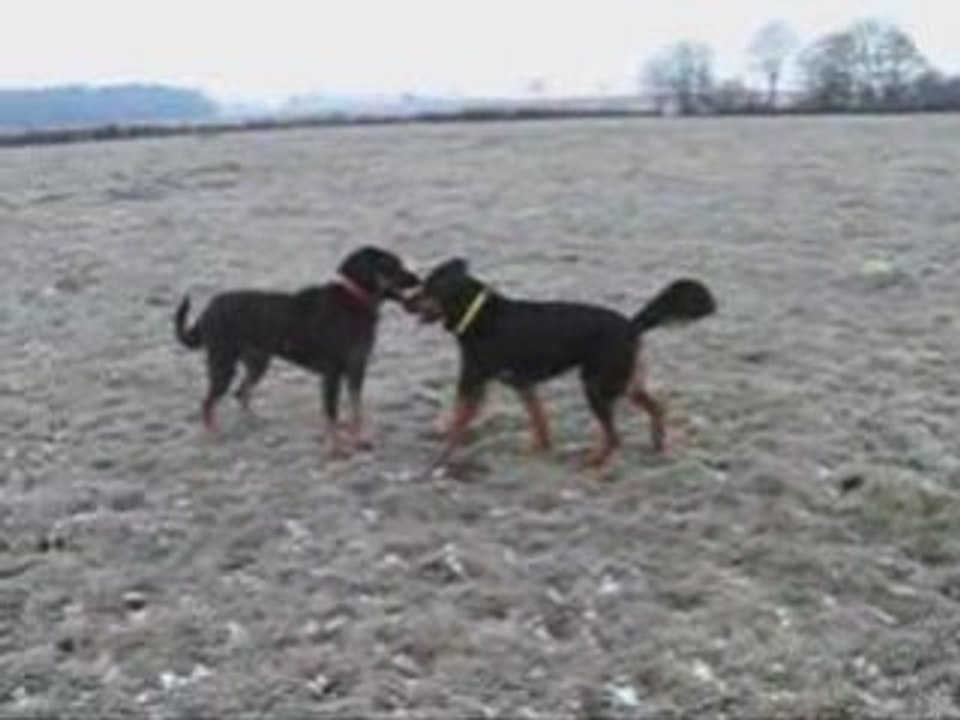 Zyon et masha 09 01 09