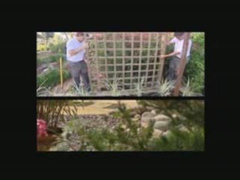 Paysagiste, aménagement extérieur : Création d' un jardin, jardin facile, télématin France 2