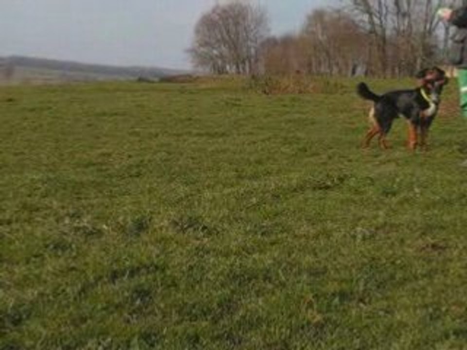 Zyon jeux 03 01 09