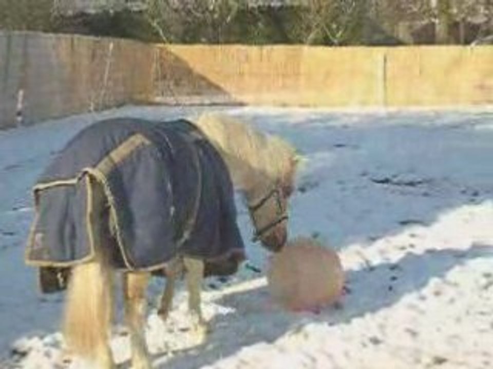 Patate et son balloooon