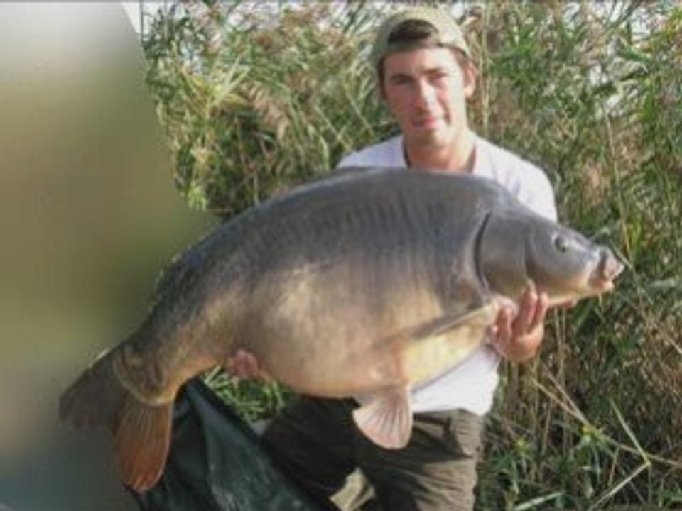 Diapo saison 2008