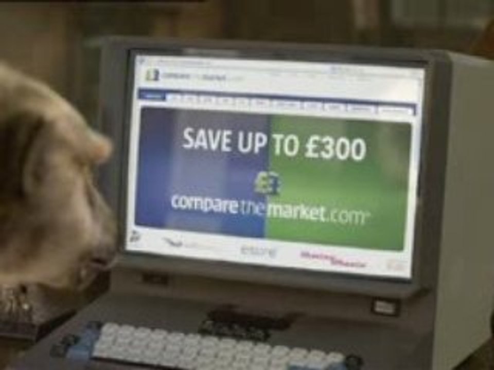 Compare_the_Market_Aleks