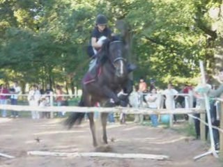 Les Ecuries du Seillery