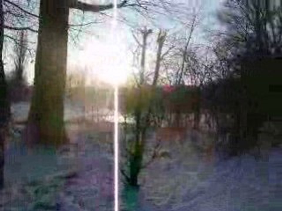 Promenade au Lietzensee ( Charlottenbourg - Berlin )