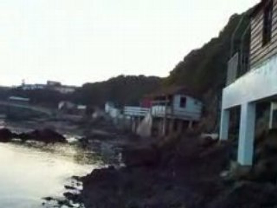 Paillottes bretonnes et canards sauvages HD