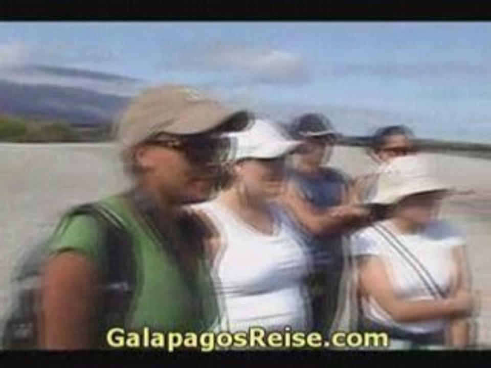 Video Galapagos Part 6 - nature, wildlife