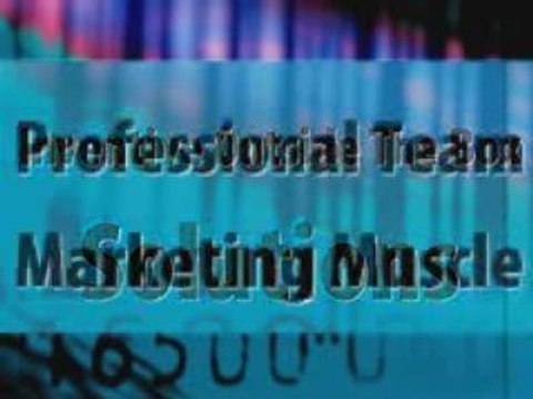 Minnesota Small Business Sales Experts