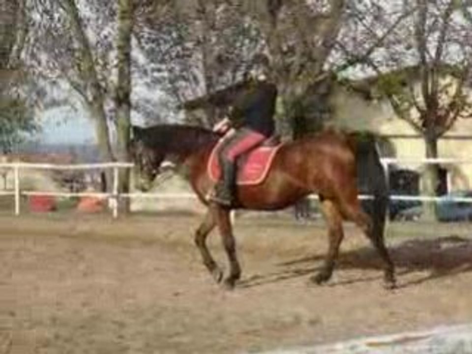 fleur et moi en dress il y a longtemps